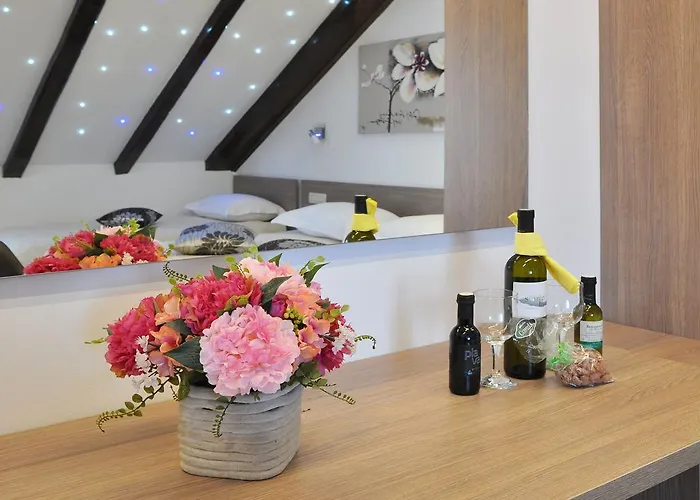 萨勒拉豪华公寓 *